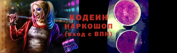 мдпв Верхний Тагил