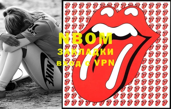 стаф Бородино